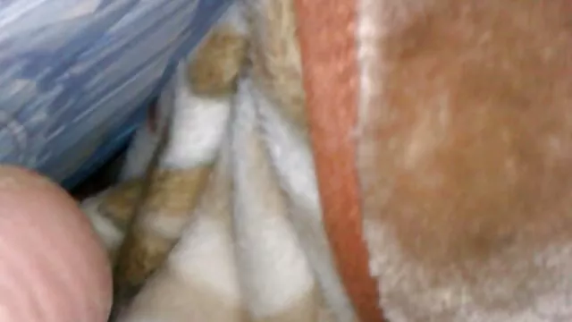 AlexD Tag Träume nackte reife frauen